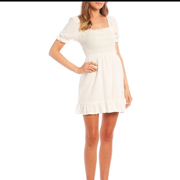 Evolutionary NWT Smocked Bodice Clip Dot Dress size L - Picture 5 of 8